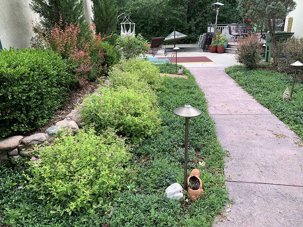 Curated visual reference: Gallery Detail: Creating A Sustainable Landscape