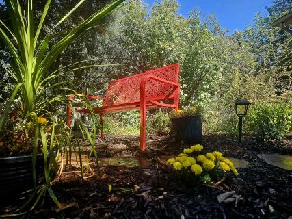 Native plants, plantings, flowers, trees, shrubs, Colorado Springs landscaper Sundown Landscaping