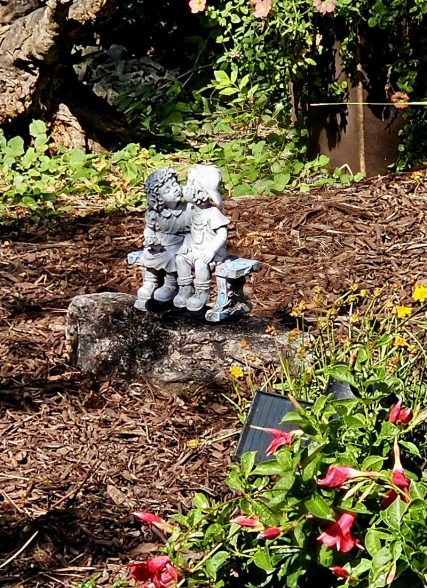 Native plants, plantings, flowers, trees, shrubs, Colorado Springs landscaper Sundown Landscaping