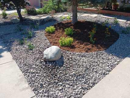 Native plants, plantings, flowers, trees, shrubs, Colorado Springs landscaper Sundown Landscaping