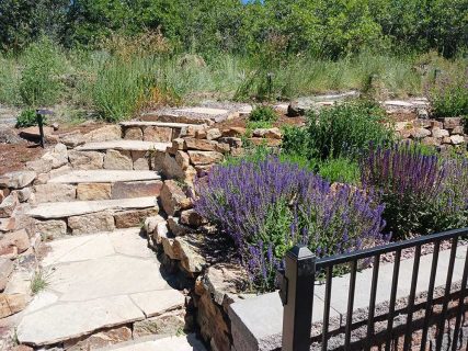 Explosion of color with plantings, shrubs, flowers, trees and native plants