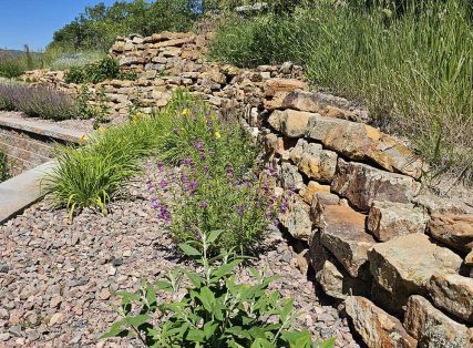 Plantings, plants, flower, shrubs, trees, potted plants, Sundown Landscaping in Colorado Springs, designers and builders