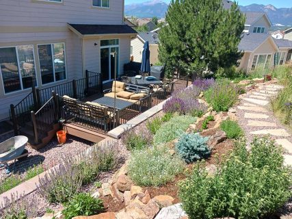 Plantings, plants, flower, shrubs, trees, potted plants, Sundown Landscaping in Colorado Springs, designers and builders