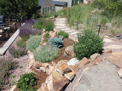 Sundown Landscaping, Plantings, Design, Build, Transform your yard with plants and flowers