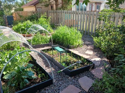 Sundown Landscaping, Plantings, Design, Build, Transform your yard with plants and flowers