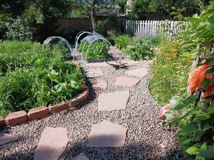 Plantings, plants, flower, shrubs, trees, potted plants, Sundown Landscaping in Colorado Springs, Designers and Builders