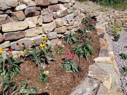 Sundown Landscaping in Colorado Springs, designers and builders, Plantings, plants, flower, shrubs, trees, potted plants