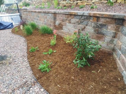 Sundown Landscaping in Colorado Springs, designers and builders, Plantings, plants, flower, shrubs, trees, potted plants