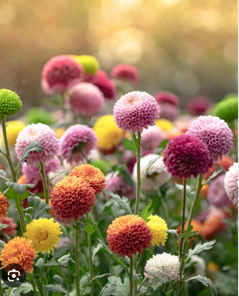 D473BBB4-BEF7-4610-AFE6-8376BE53BF62