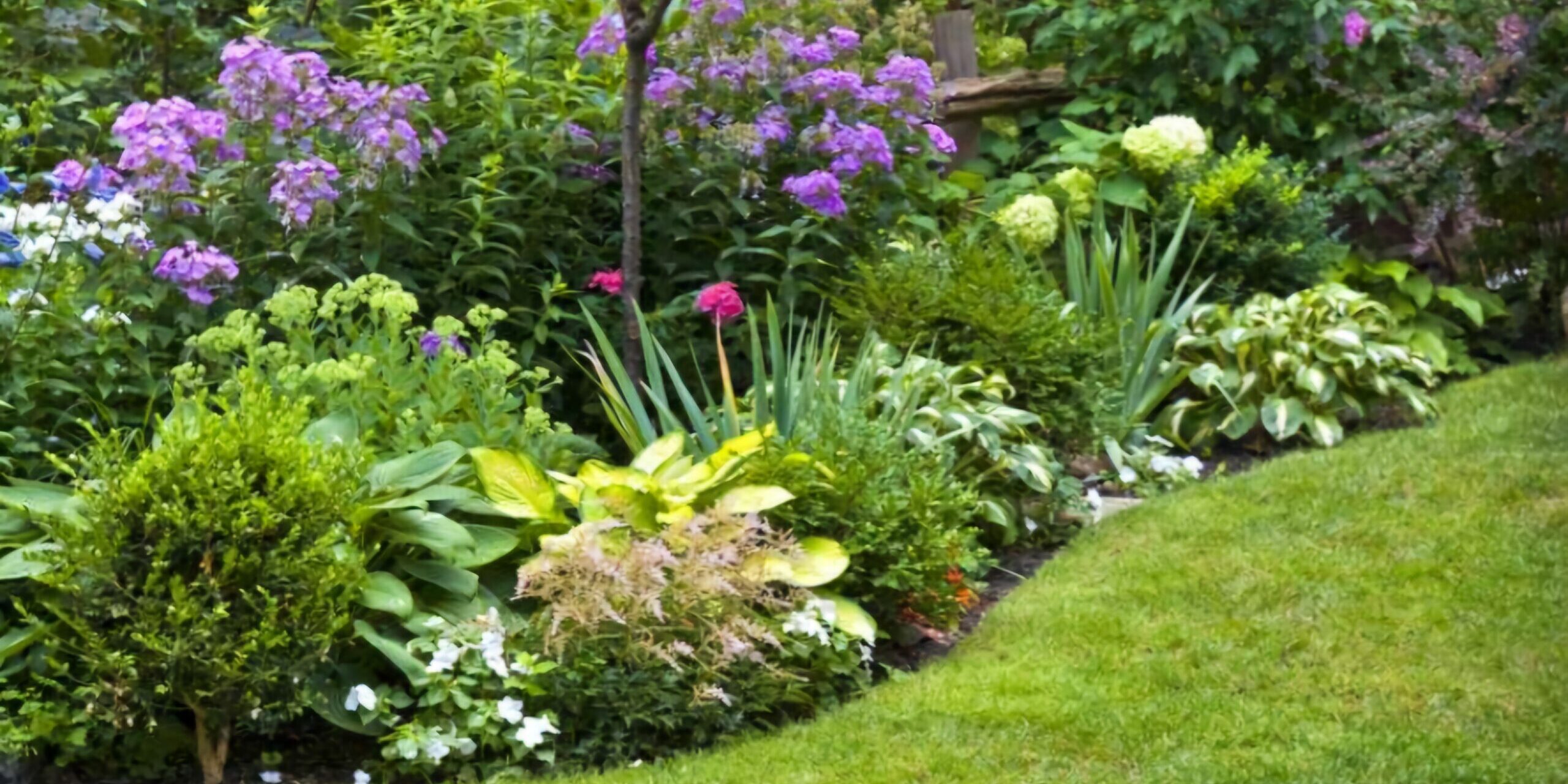 Screenshot_20241220_105104_Google