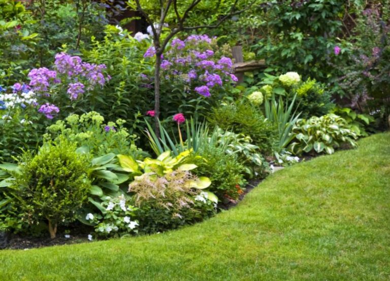 Screenshot_20241220_105104_Google