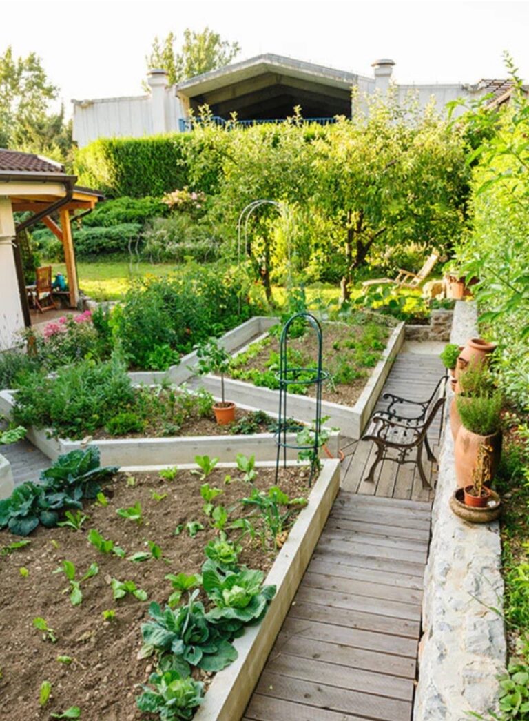 Screenshot_20241223_094359_Google