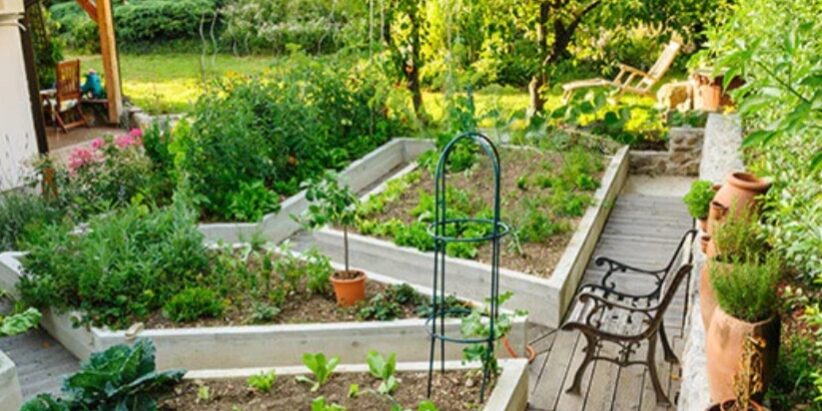 Screenshot_20241223_094359_Google